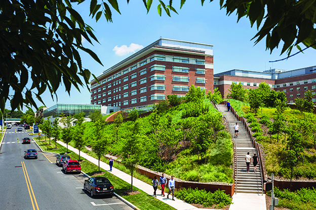 Green Roof Takes Priority at Reading Hospital Campus in Pennsylvania